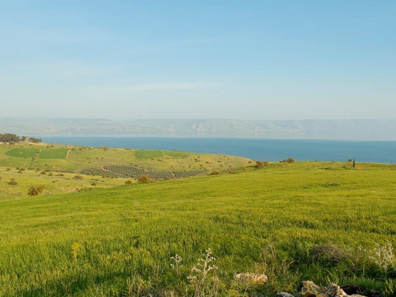 Joseph and the Golden&nbsp;Rule