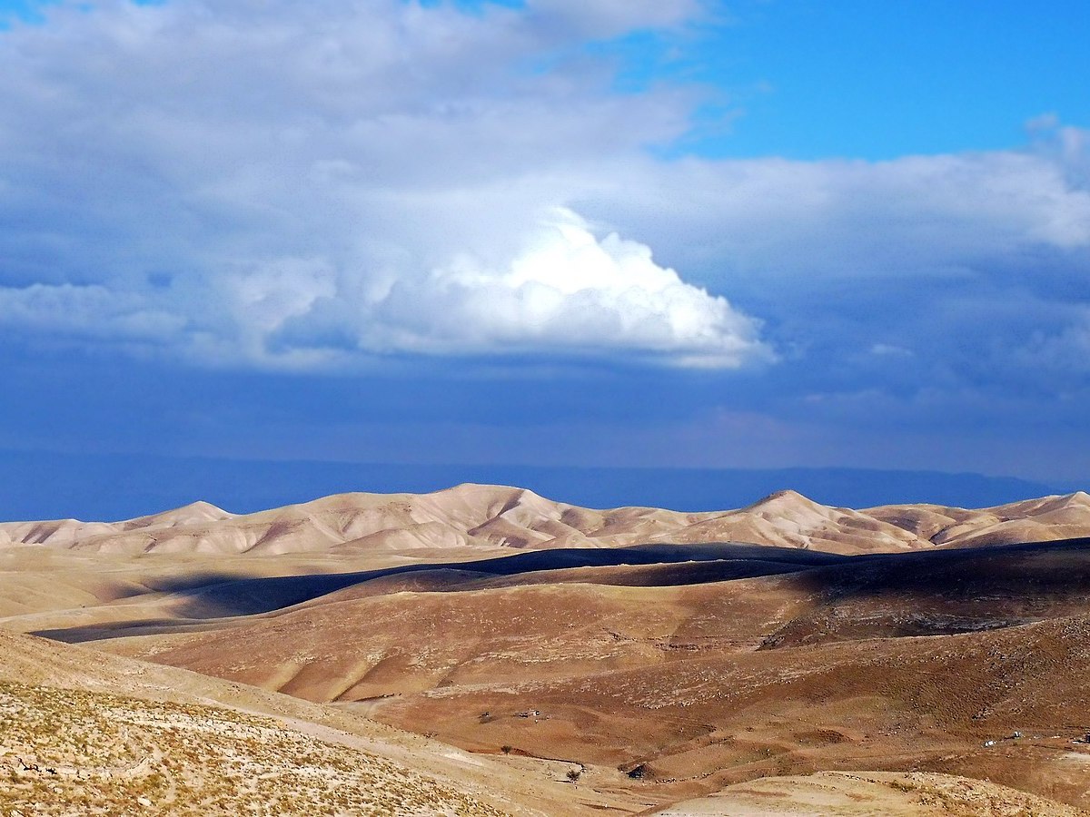 Lessons from the&nbsp;Wilderness