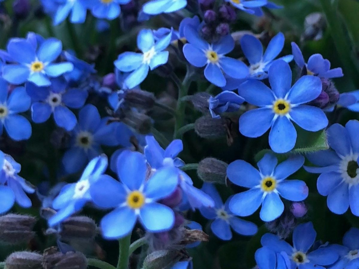 Unsung Heroes of the Bible: Lois, Eli, and&nbsp;Naomi