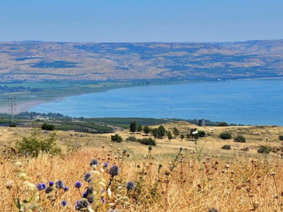 Unsung Heroes of the Bible:&nbsp;Children