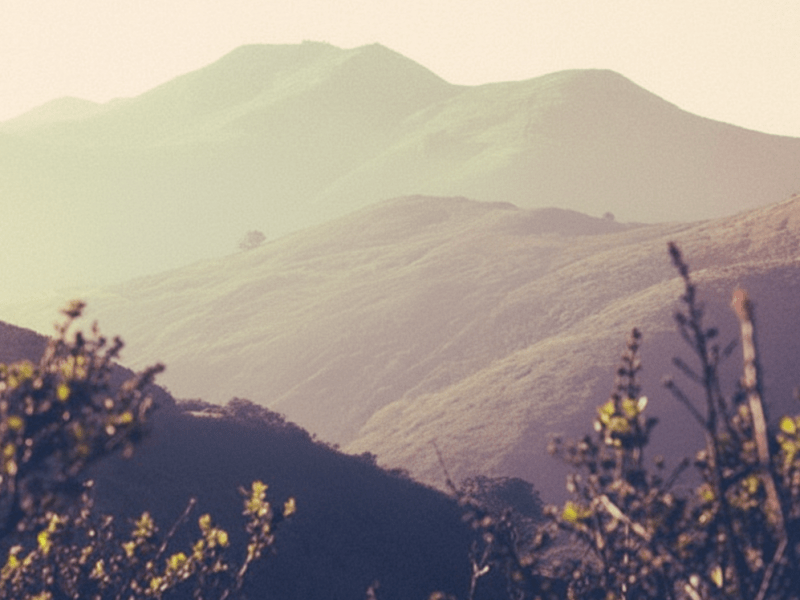 Are We There Yet?&nbsp;Joy