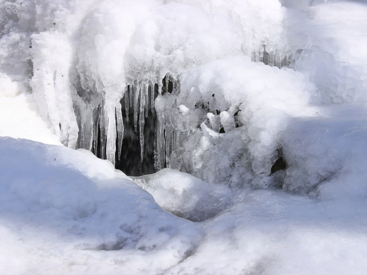 Blessed in the&nbsp;Mess