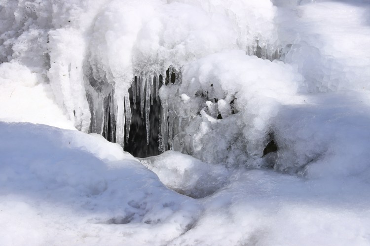 Blessed in the&nbsp;Mess