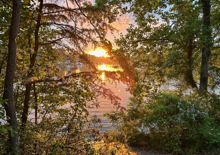 The Hem of His&nbsp;Garment