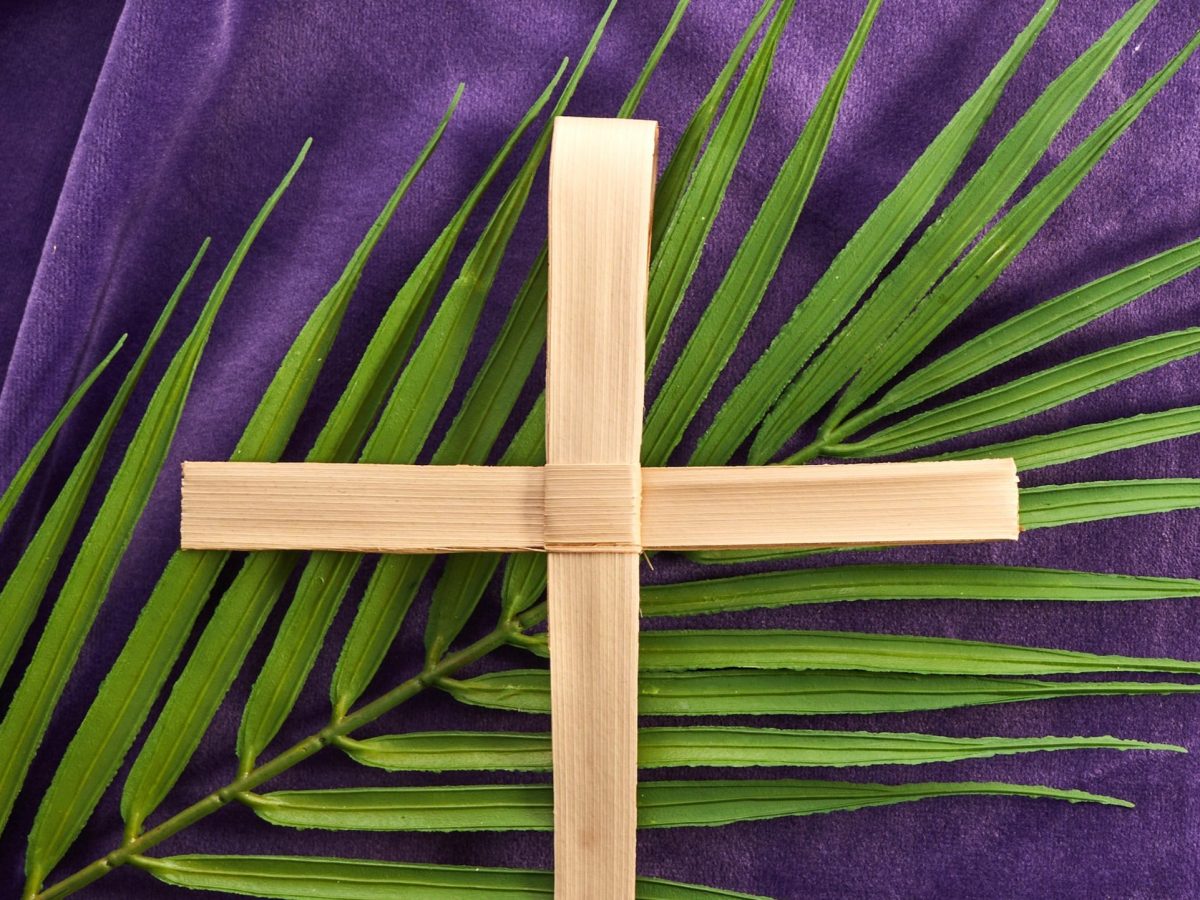 Encountering Jesus: Palm&nbsp;Sunday