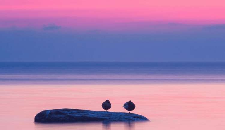 Peace Be With&nbsp;You